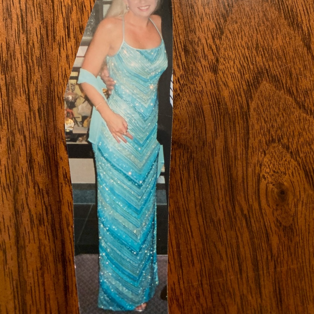 Vintage Beaded floor length Cache Gown, size 4